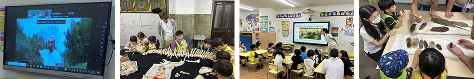 【英語×探究=STEAM教育コース】