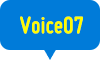 Voice07